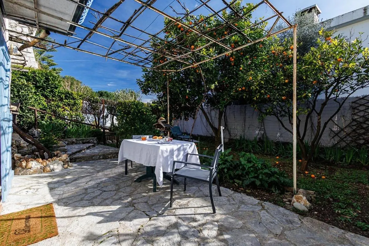 La Petite Marjolaine Pretty Garden Level In Vence Apartment France