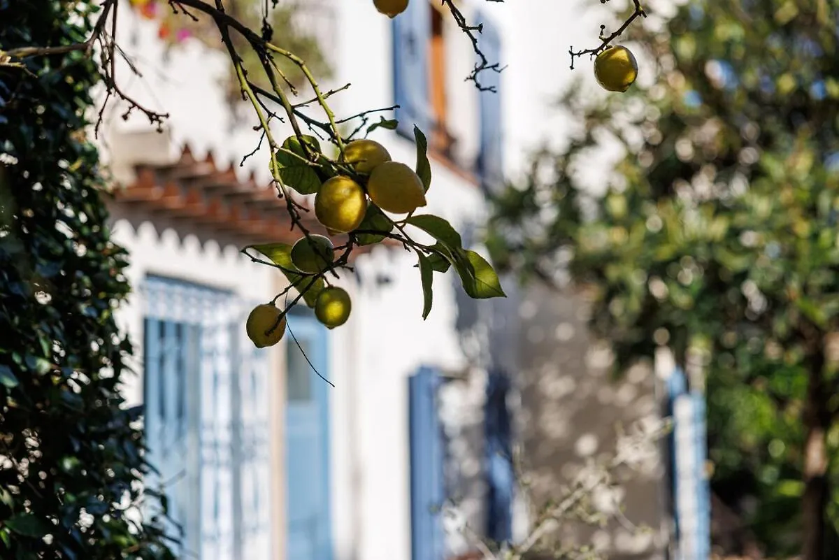 La Petite Marjolaine Pretty Garden Level In Vence Apartment France